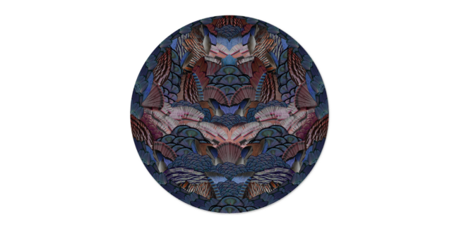 Tapete Caligraphy Bird