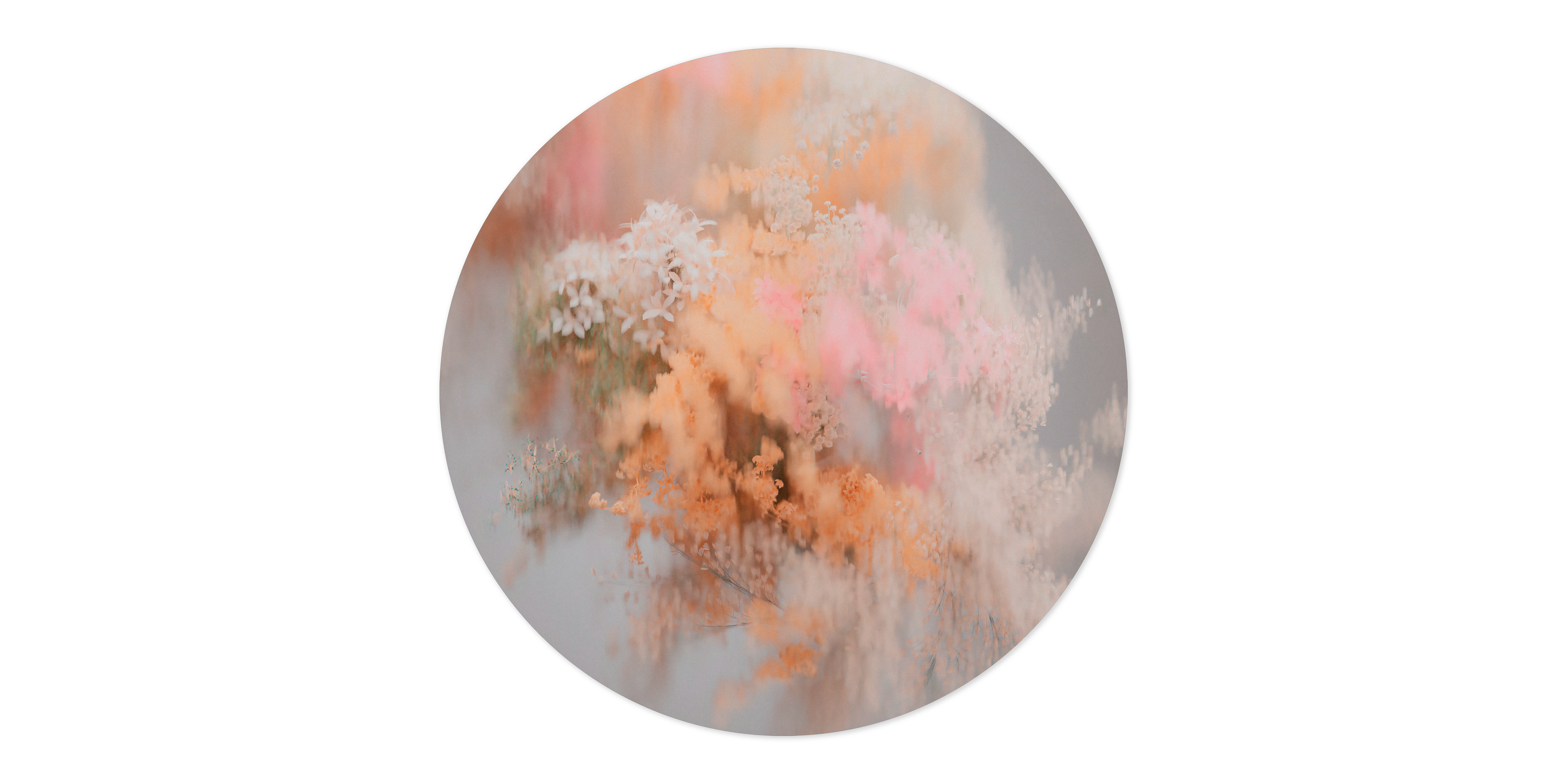 POLLINATION-OF-HORTENSIA-CARPET-SUMMER-CIRCULAR250cm-300Dpi