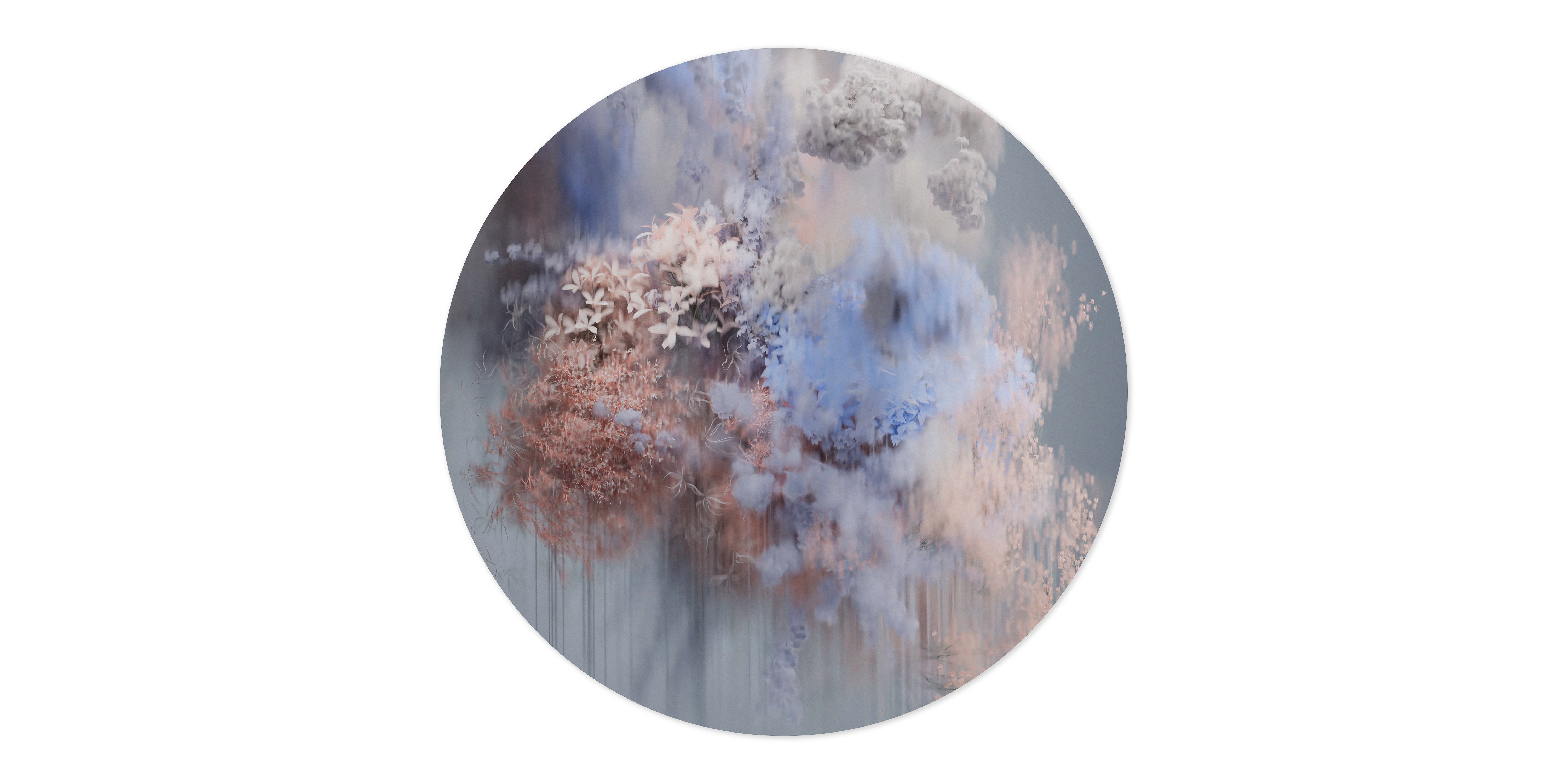 POLLINATION-OF-HORTENSIA-CARPET-WINTER-CIRCULAR250cm-300Dpi