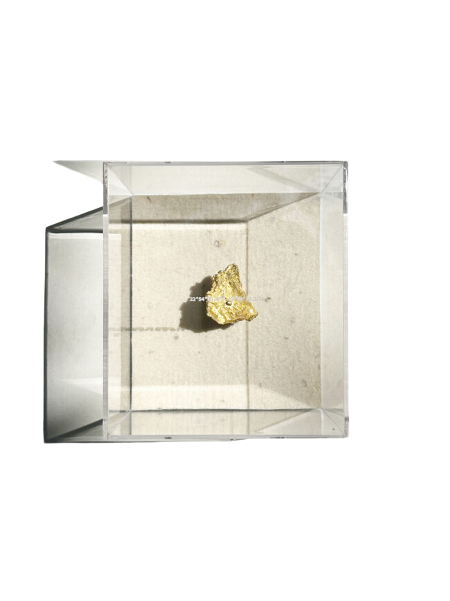 Gabinete de Curiosidades