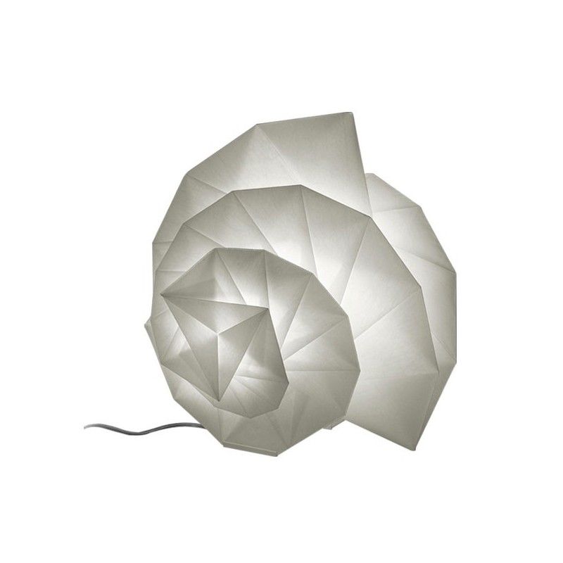 WhatsApp Image 2026-01-22 at 17.48.32